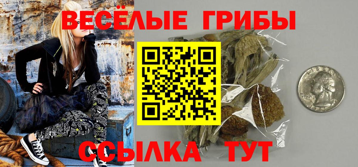 Псилоцибиновые грибы мицелий  Вход с VPN  цена   Псилоцибиновые грибы Cubensis  Россия 